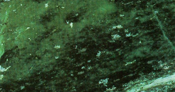 Verde-Giada-570x300